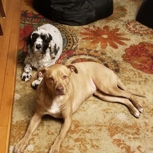 Meet your Posher, Denisa